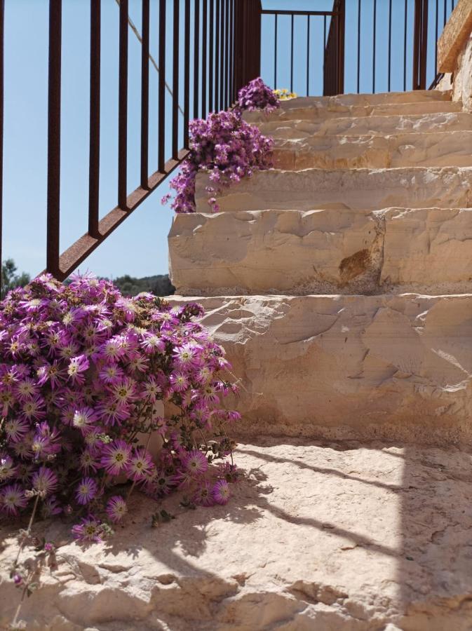 Villetta Cipolliane Santa Maria di Leuca エクステリア 写真