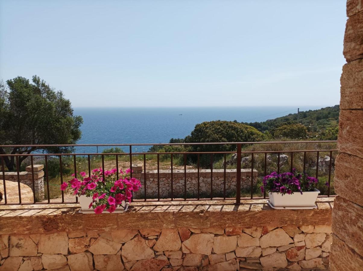 Villetta Cipolliane Santa Maria di Leuca エクステリア 写真