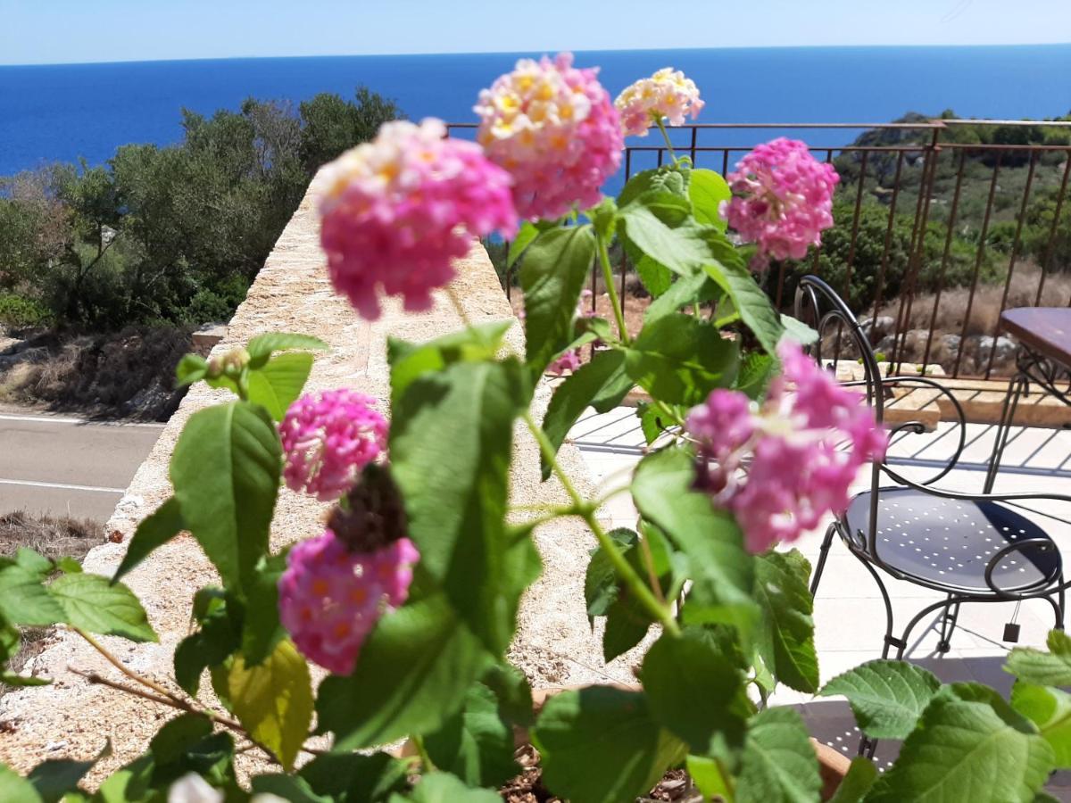 Villetta Cipolliane Santa Maria di Leuca エクステリア 写真